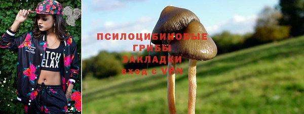 скорость Липки