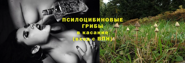 скорость Липки