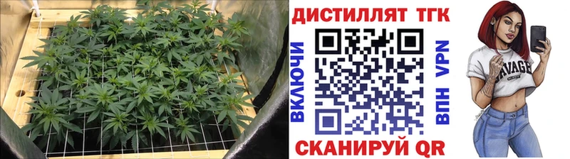 гидра ссылка  Кола  Дистиллят ТГК вейп 
