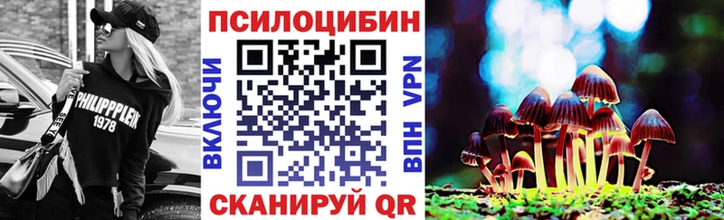 Галлюциногенные грибы GOLDEN TEACHER  kraken tor  Кола  цены наркотик 